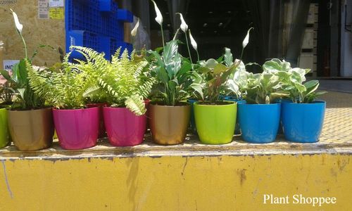 6603fa64257e0a53313c29f6_IMG-20180412-WA0005 (1)-p-500