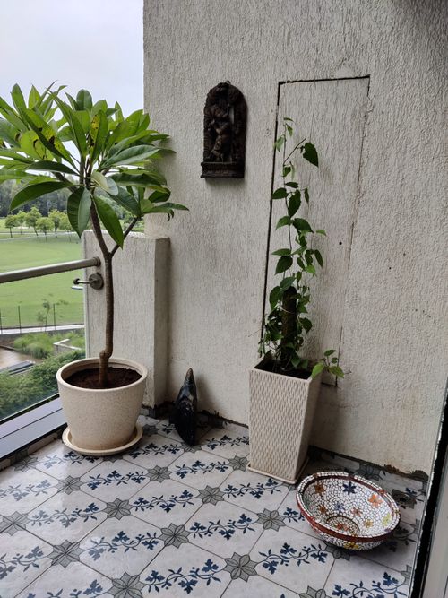 6604e4037e2dde439003992d_IMG_20220809_181706-p-500