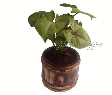 66055e851df21a9ca5e5c870_WhatsApp Image 2024-03-28 at 17.20.30_fcce8960-p-500