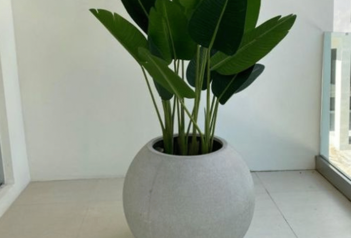 Untitled design (31)