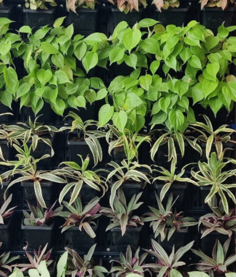 Untitled design (33)