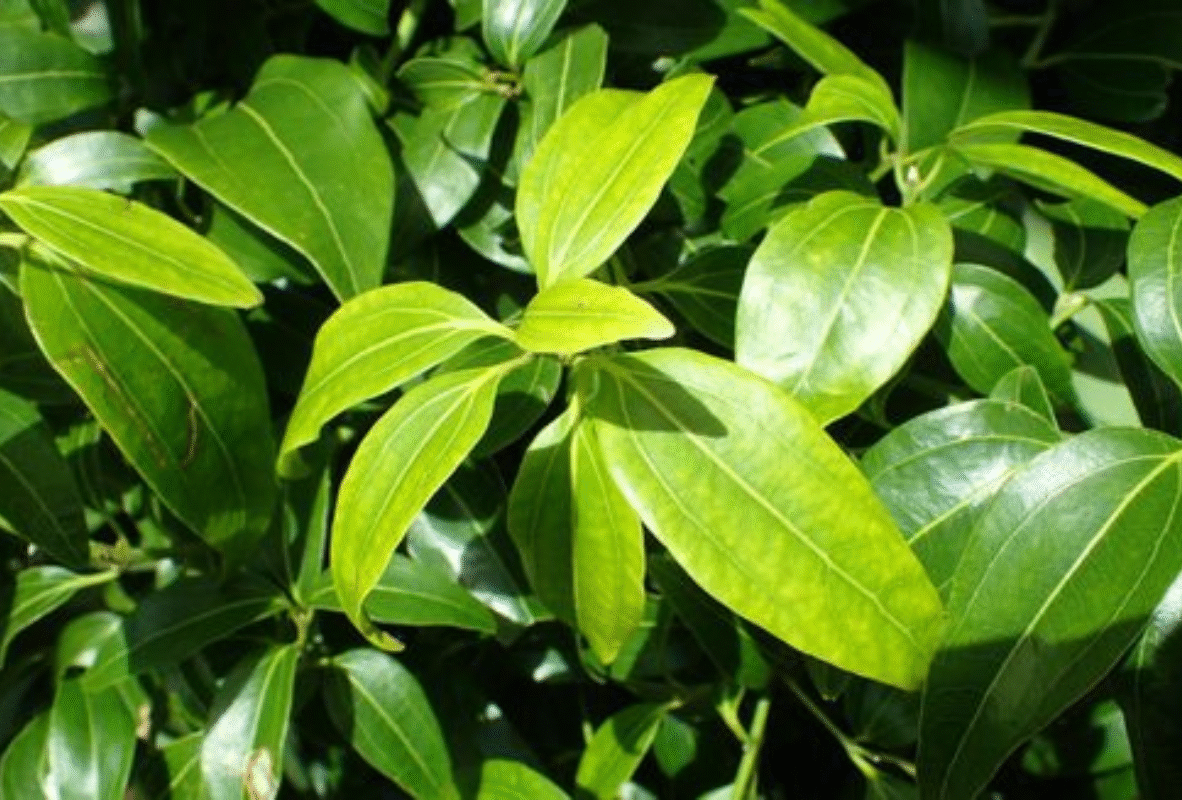 Untitled design (20)