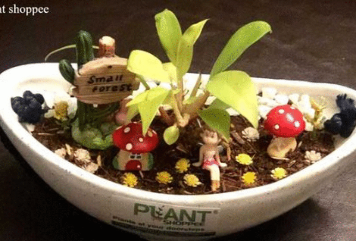 Untitled design (13)