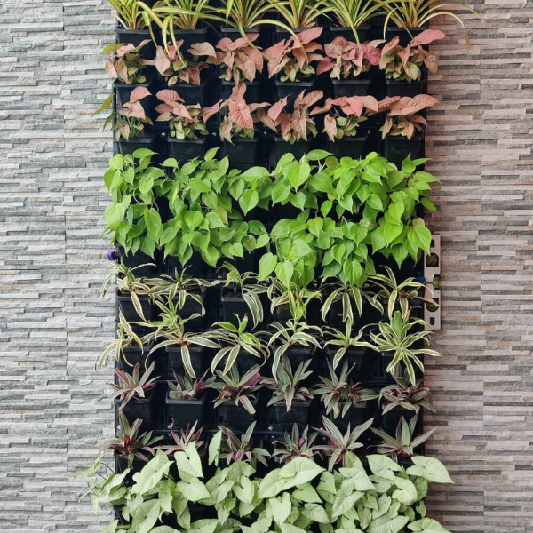 Untitled design (38)