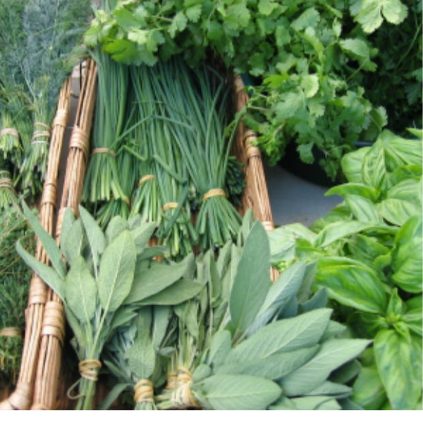 Untitled design (41)