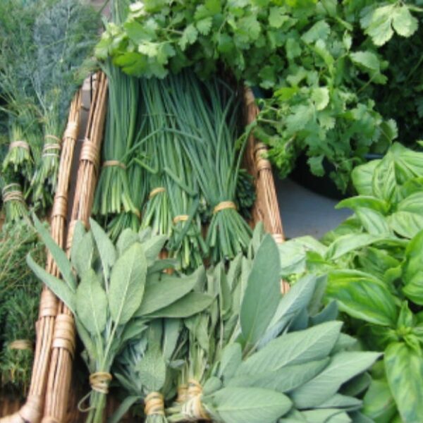 6606538bffb8ccf63f6849e8_WhatsApp Image 2024-03-29 at 10.59.57_9cc172f6