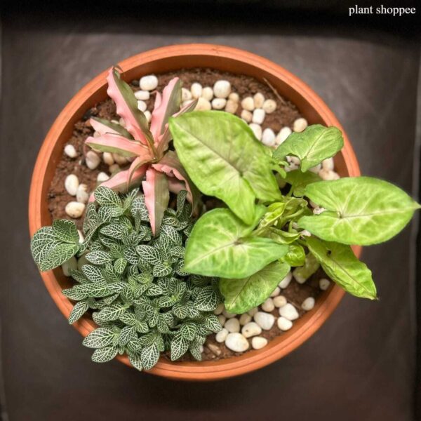 660ad76a4e5361a11d868ca9_WhatsApp Image 2024-04-01 at 21.04.38_249ba3c9